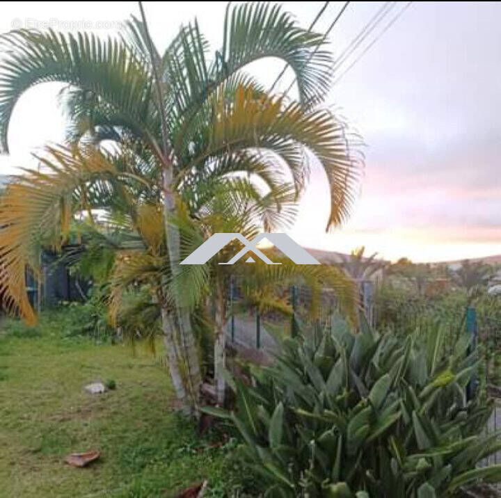 Terrain à LE TAMPON