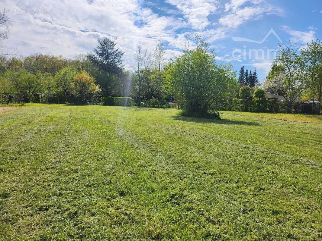 Terrain à SAINT-ELOY-DE-GY