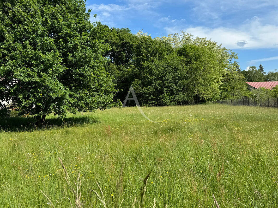 Terrain à LA FERTE-IMBAULT