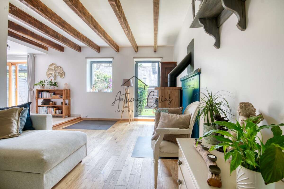 Séjour - Maison à SURZUR