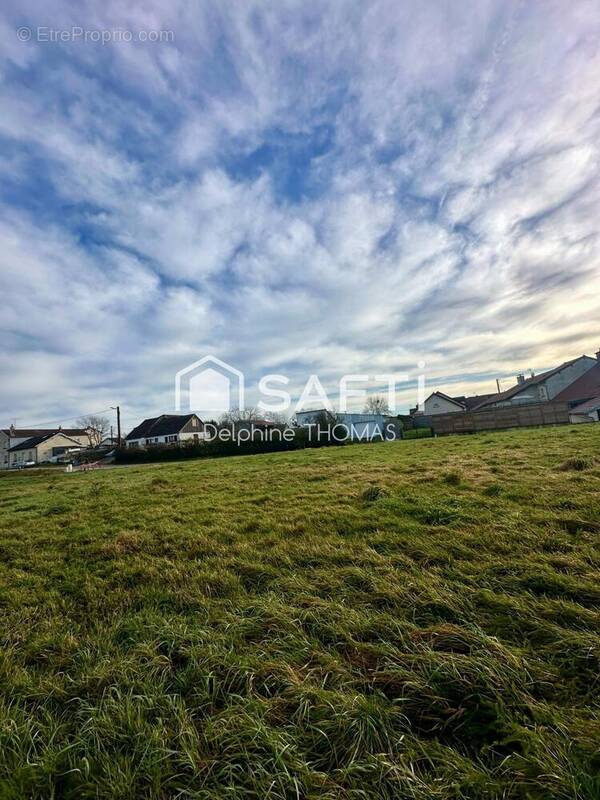 Photo 1 - Terrain à SAULX