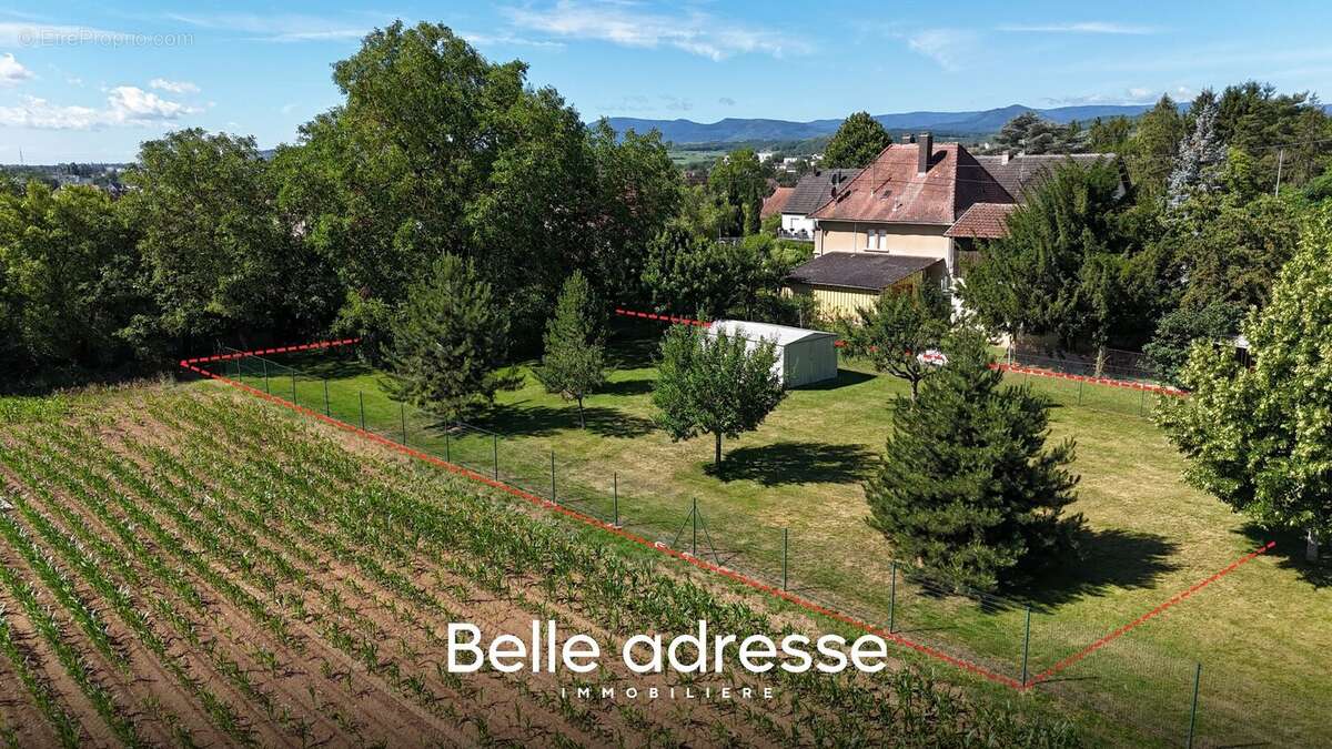 Terrain à MOLSHEIM