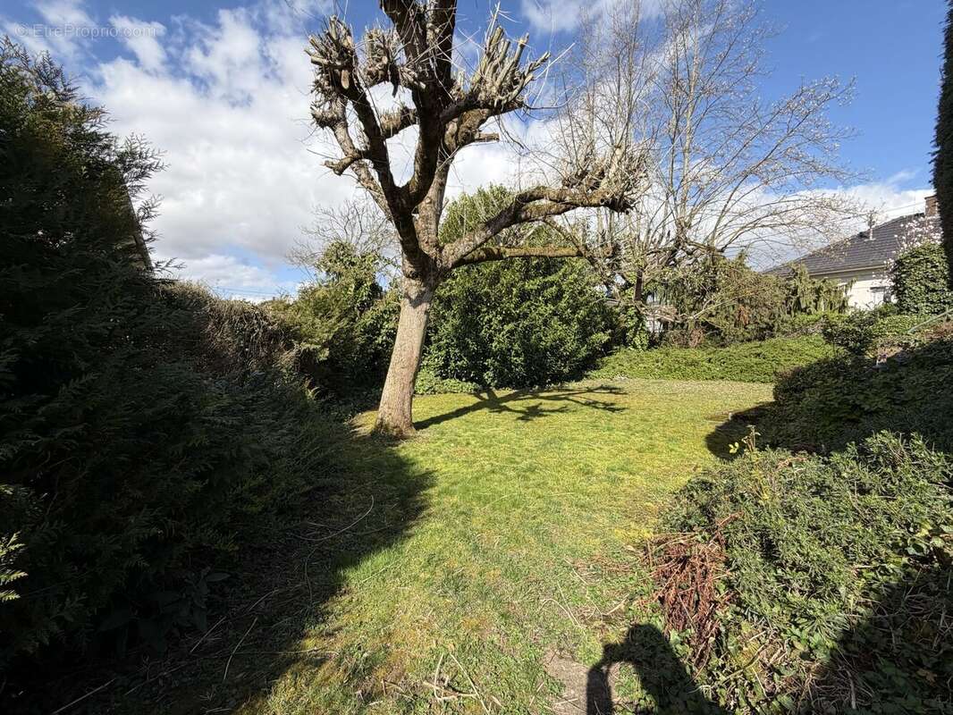 Maison à OBERHAUSBERGEN