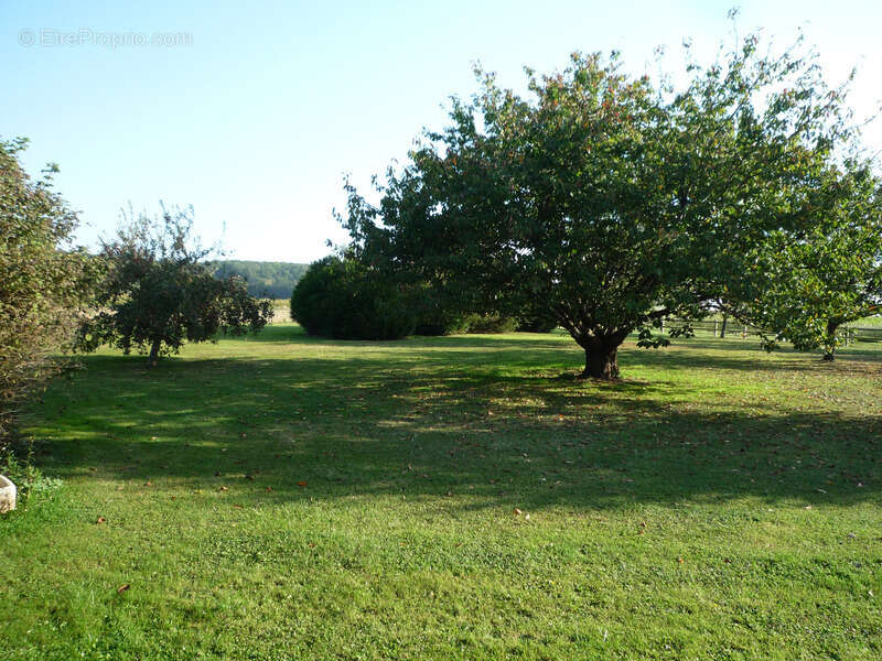 Maison à ARCY-SAINTE-RESTITUE