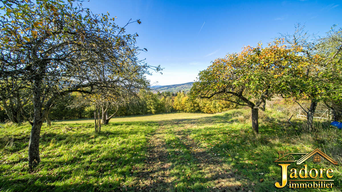 Maison à PLAINFAING