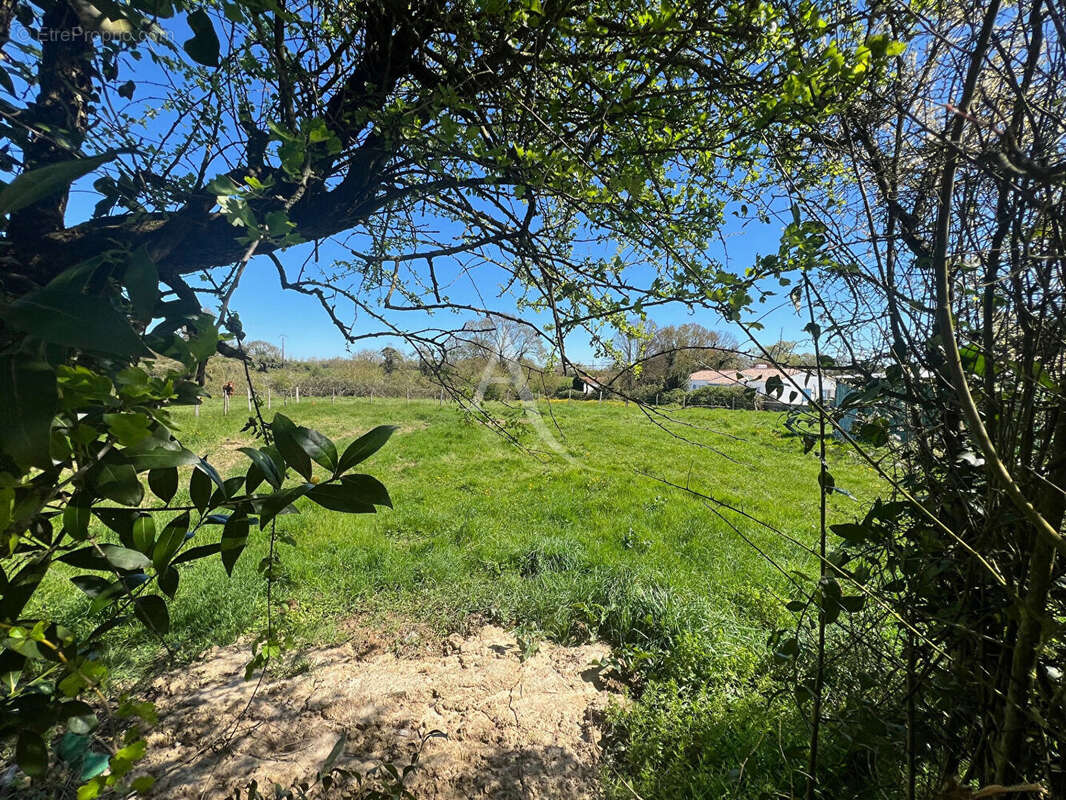Terrain à SAINT-VINCENT-SUR-JARD