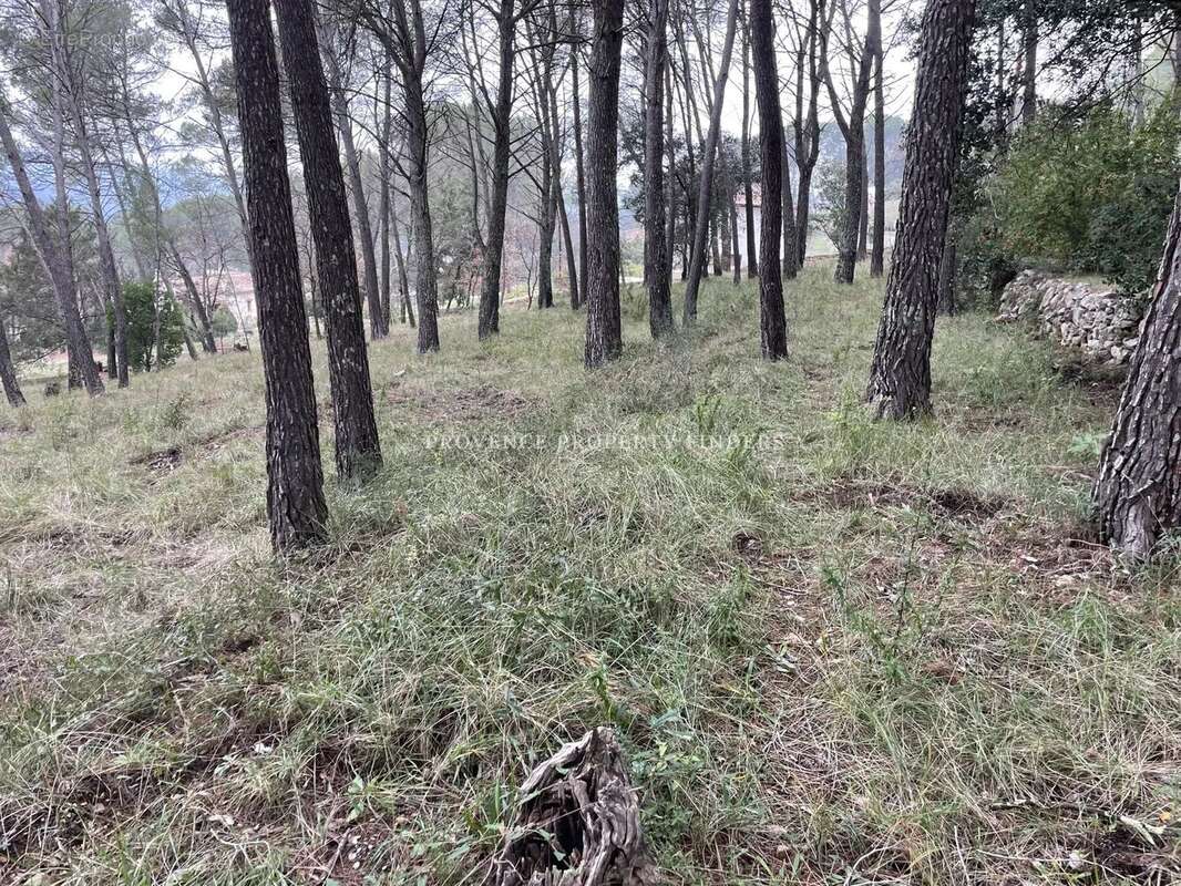 Terrain à LORGUES