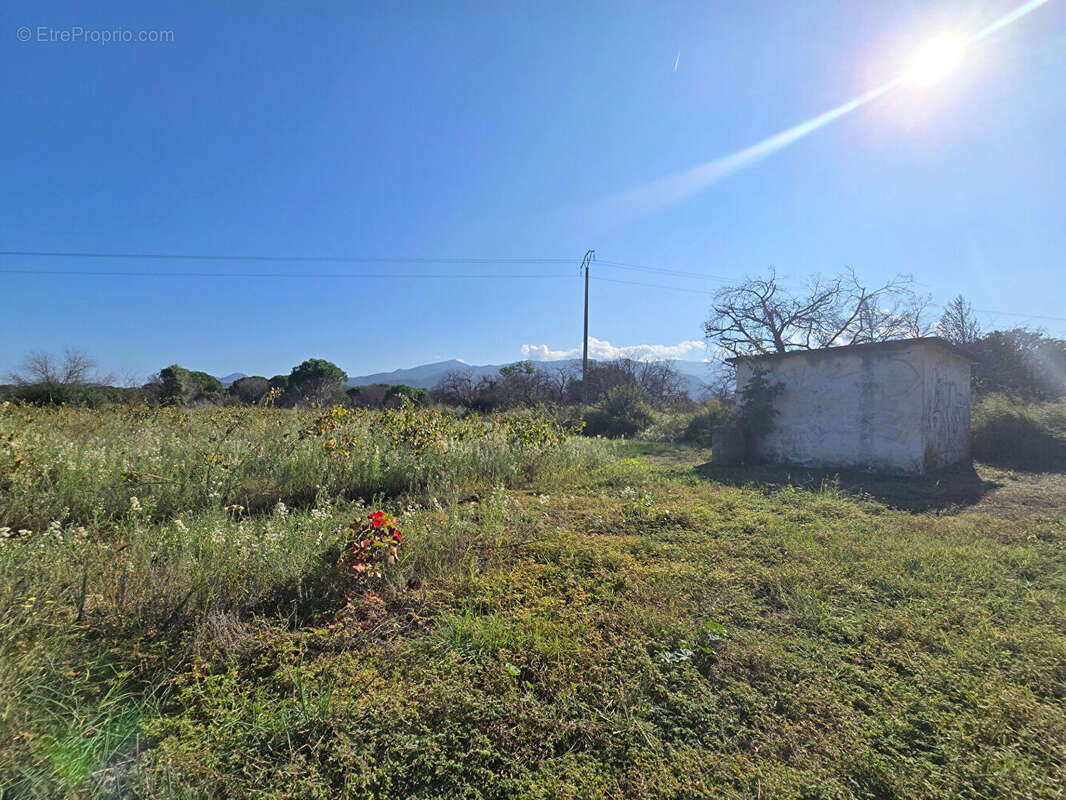 Terrain à ARGELES-SUR-MER