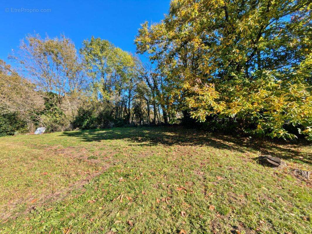 Maison à SAINT-SALVY-DE-LA-BALME