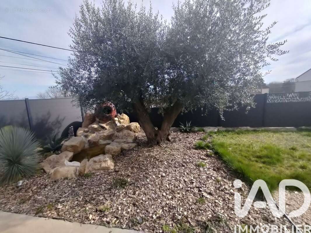 Photo 6 - Maison à CREMIEU