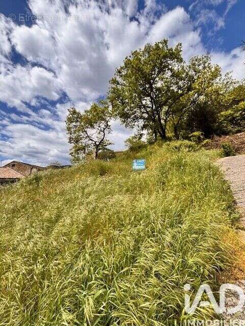 Photo 3 - Terrain à UCEL