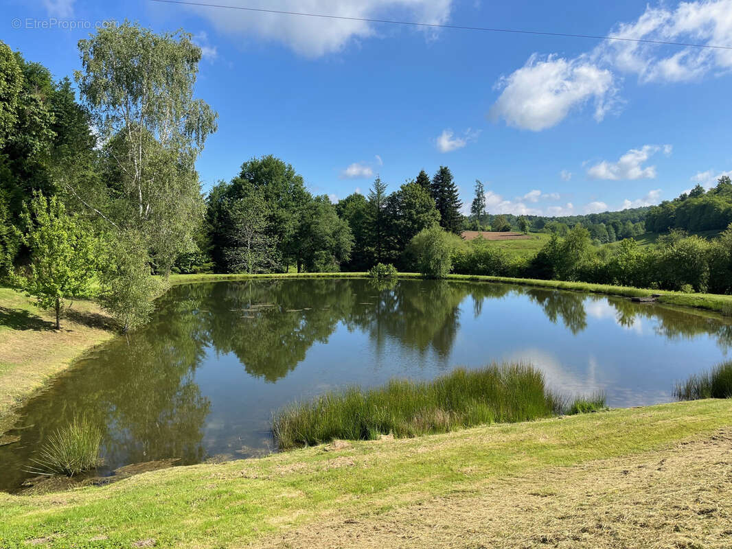 Terrain de 1,8 Hectare avec Deux Étangs près de Coussac-Bonneval (Non Constructible) - photo 7