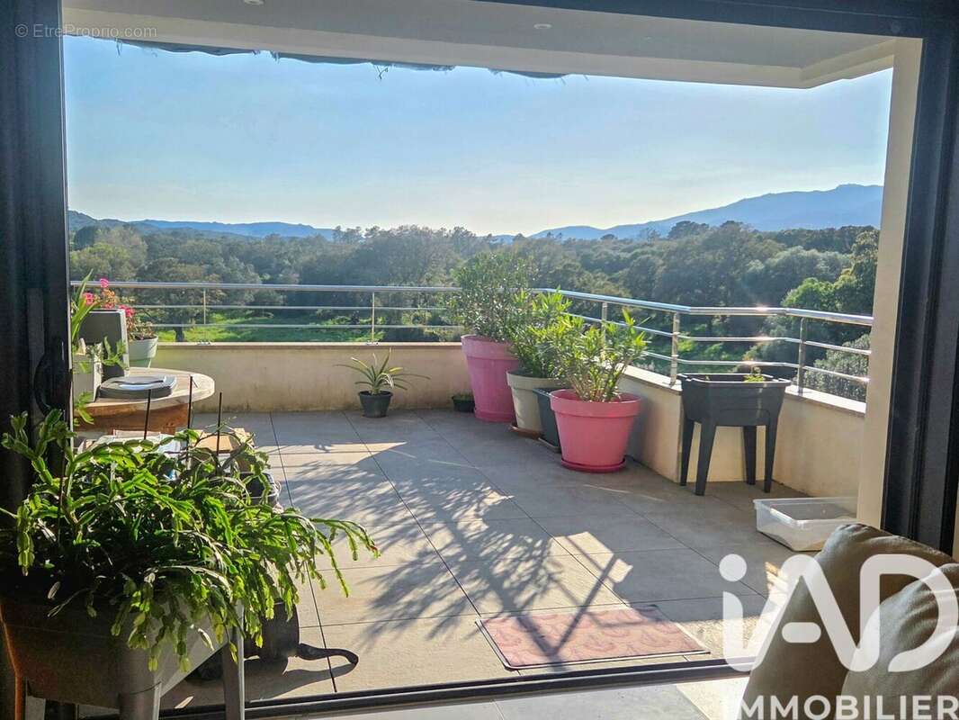Photo 4 - Appartement à PORTO-VECCHIO