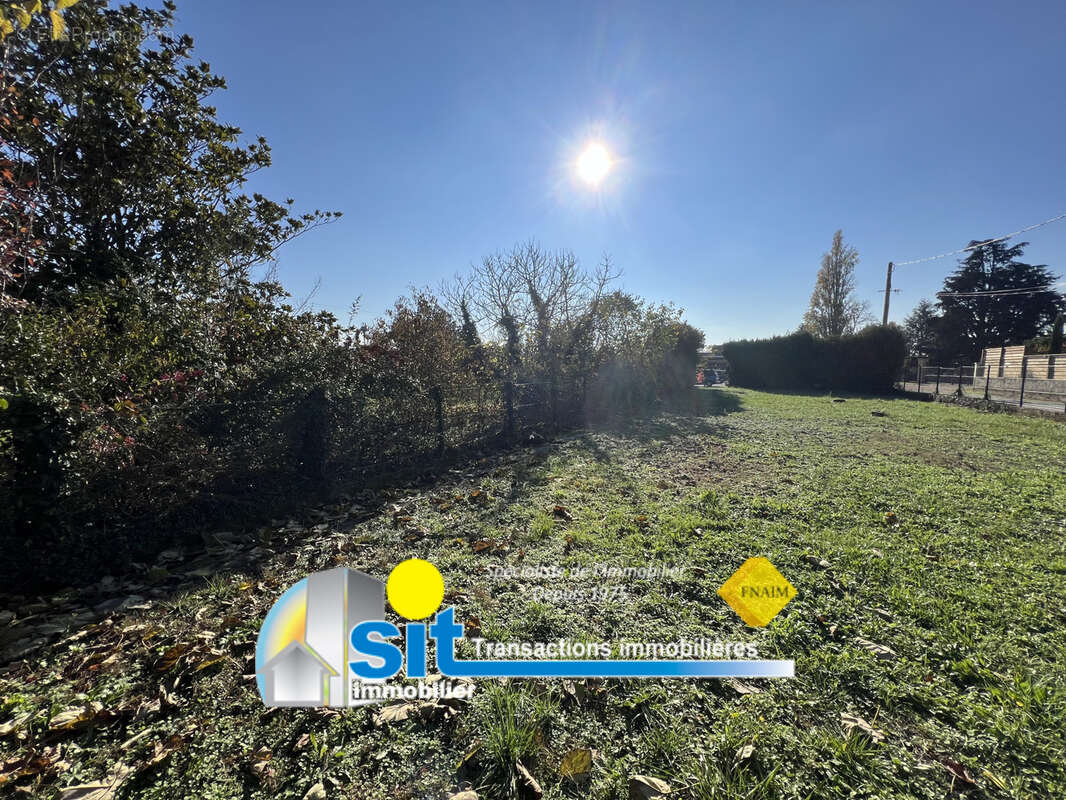 Terrain à CHONAS-L'AMBALLAN