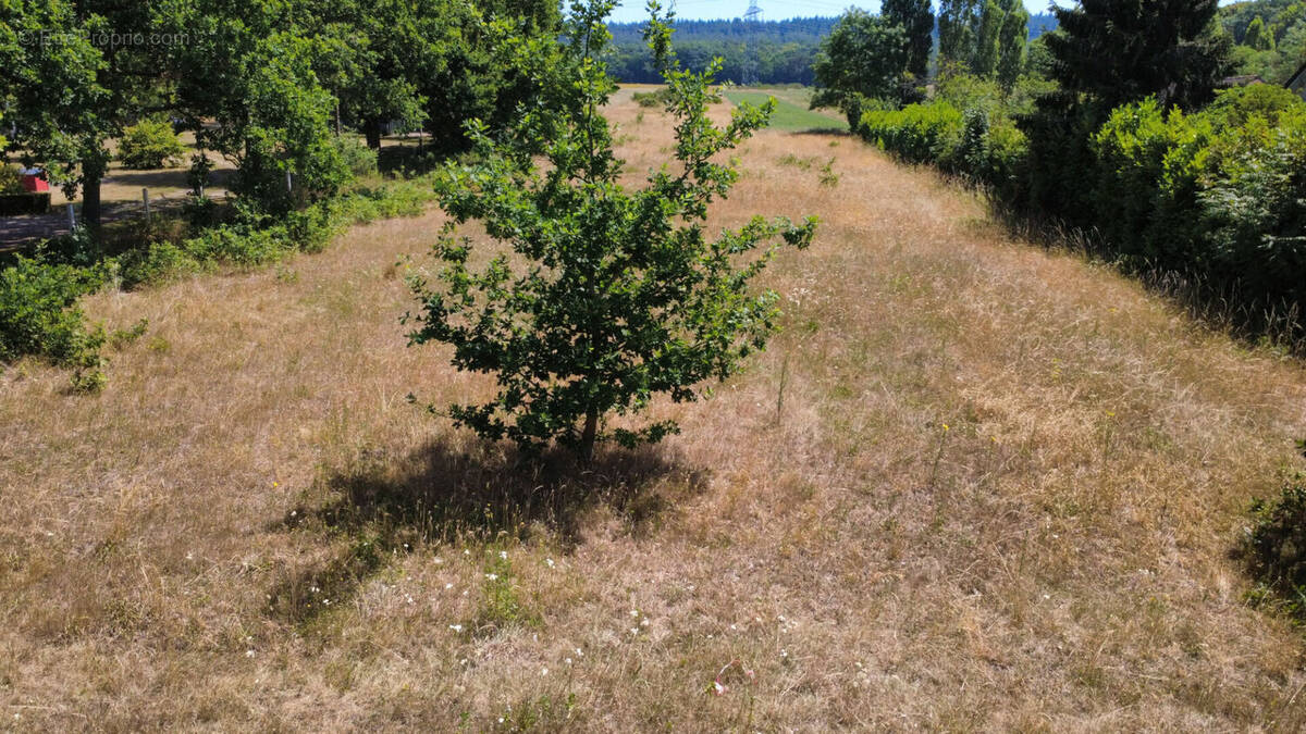Terrain à YVILLE-SUR-SEINE