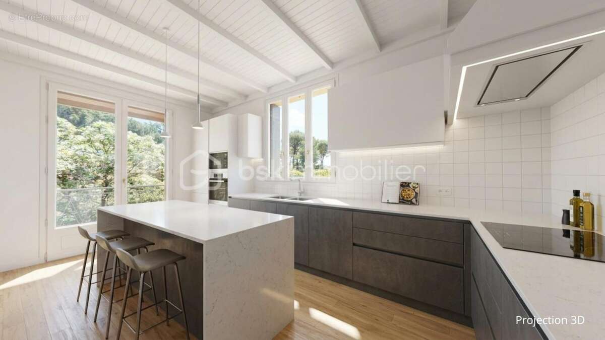 Grande maison divisée en deux logements ou logement + activité pro - photo 8