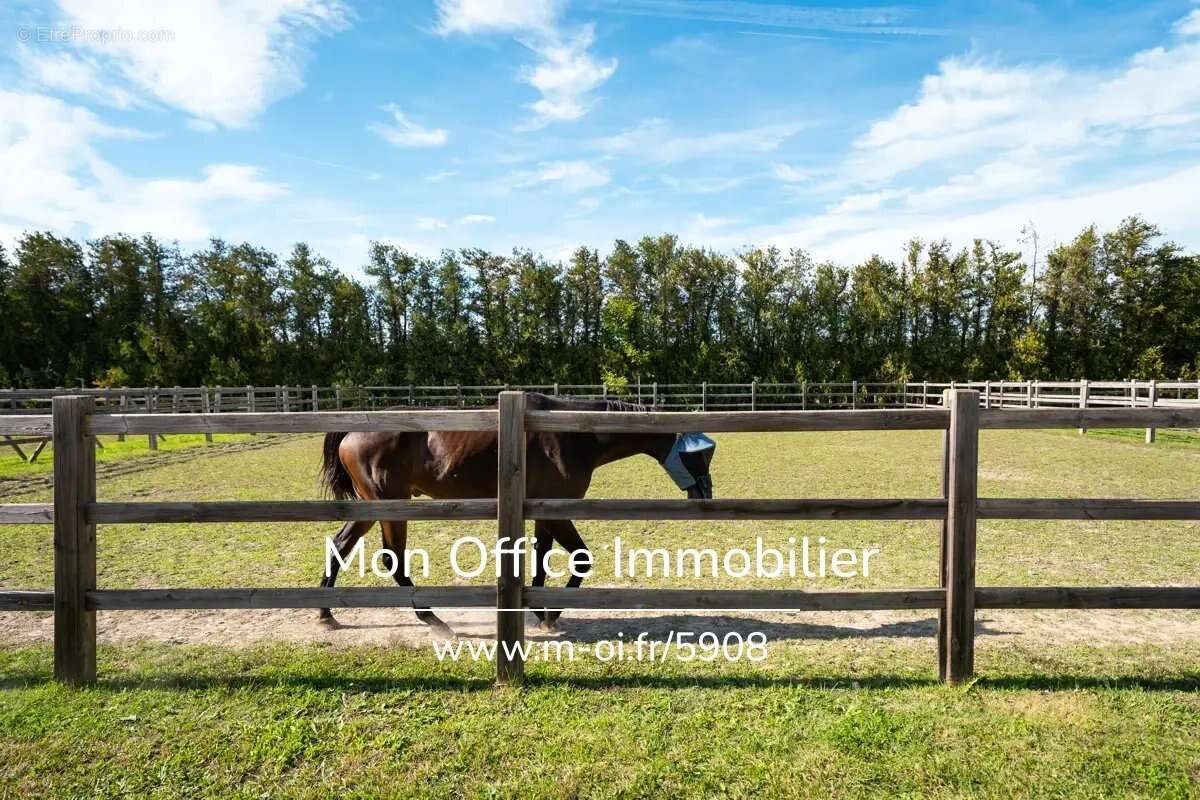 Maison à VILLELAURE