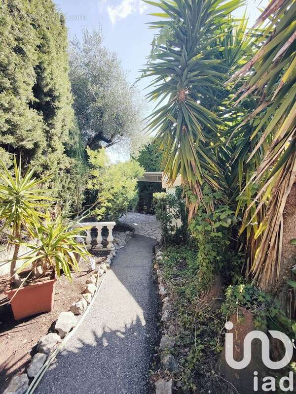 Photo 9 - Maison à NICE