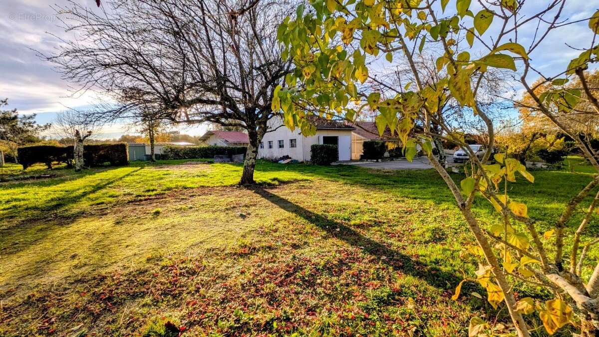 Maison à AUBIE-ET-ESPESSAS