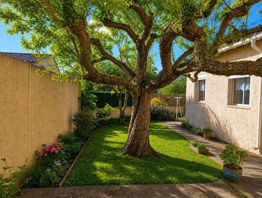 Maison individuelle - photo 8