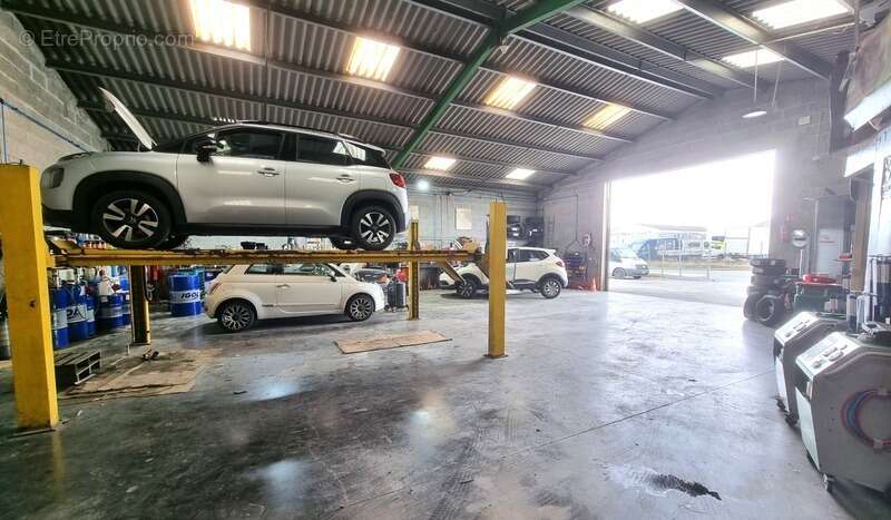 Commerce à BOURCEFRANC-LE-CHAPUS