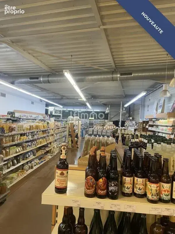 local commercial zone artisanal à Didenheim - photo 3