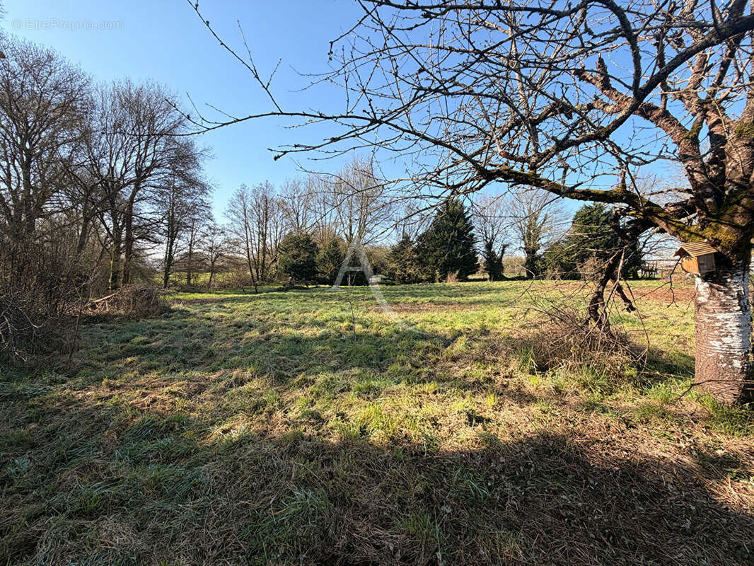 Terrain à TREFFIEUX