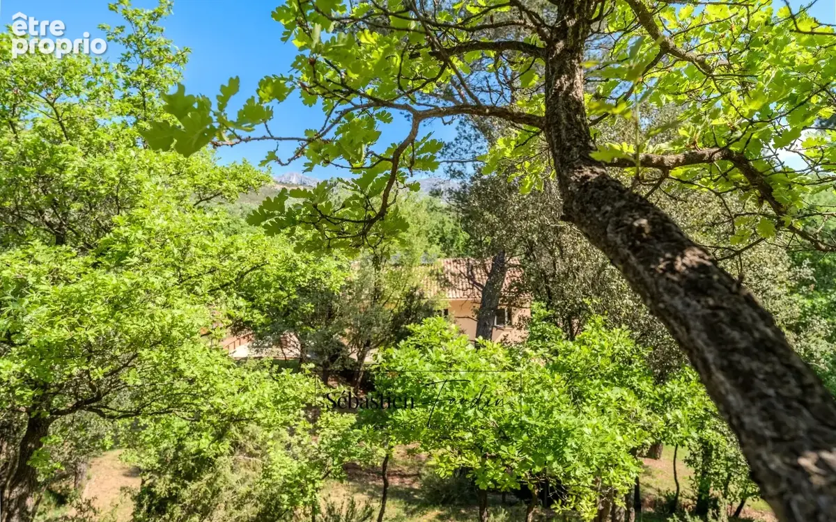 Domaine à vendre à Rousset à 15 minutes d'Aix-en-Provence - 8 000 m² - plusieurs logements - 262 m² habitables - calme absolu -  - photo 62