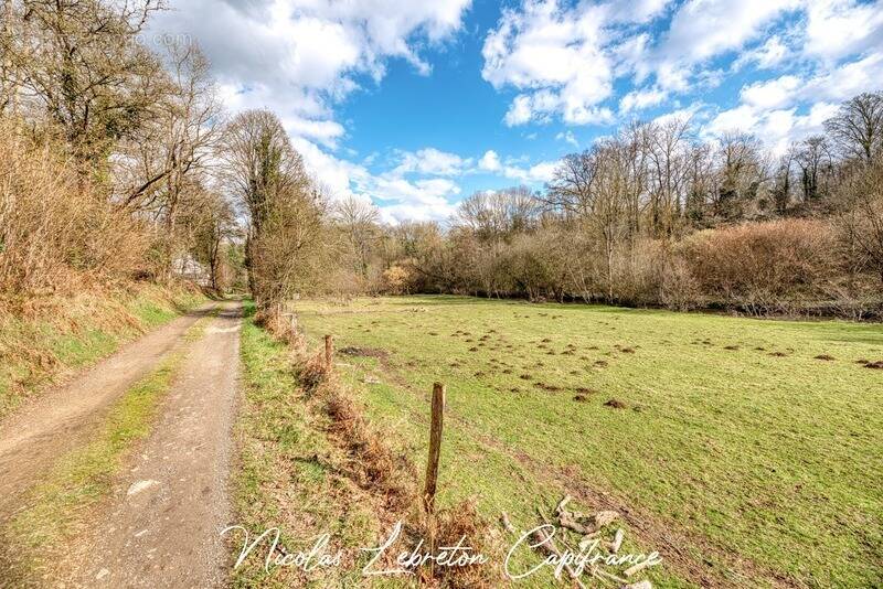 Maison à MENIL-HUBERT-SUR-ORNE