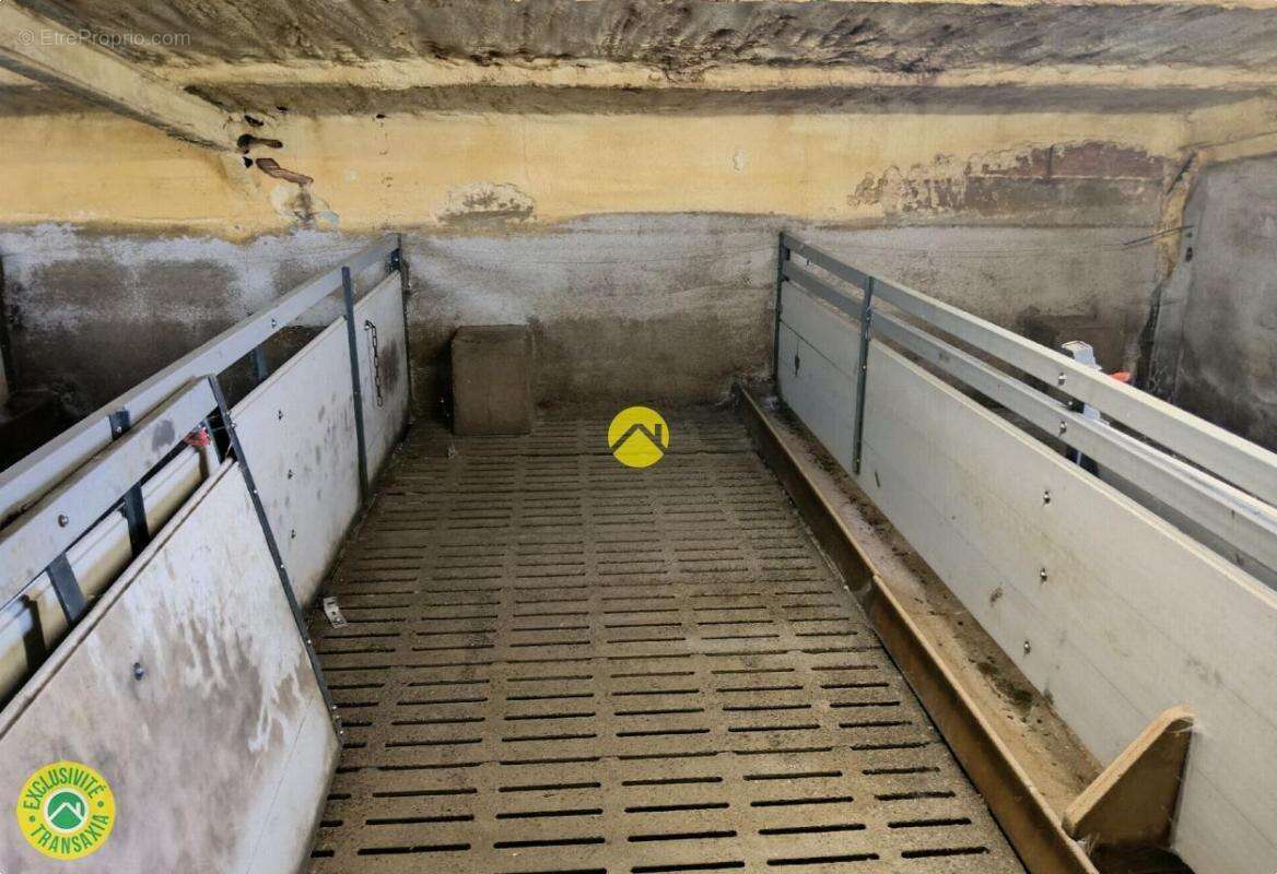 Commerce à LURCY-LEVIS