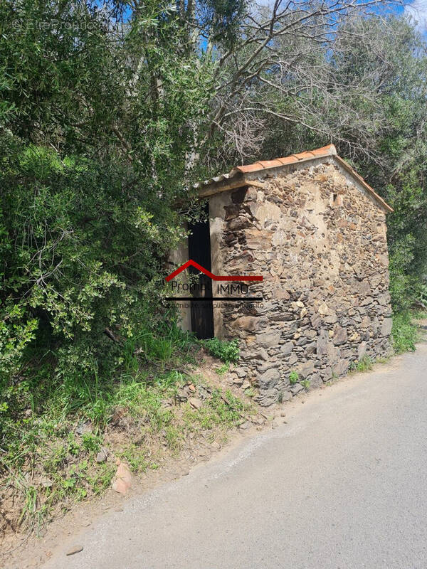 Terrain à BANYULS-SUR-MER
