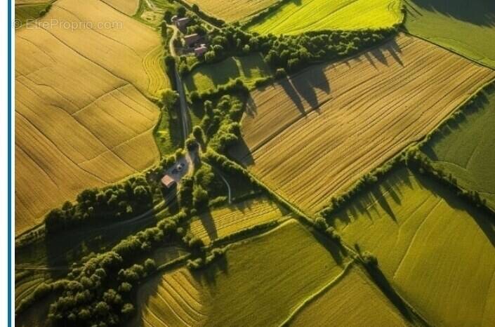 Terrain à SAINTE-CECILE