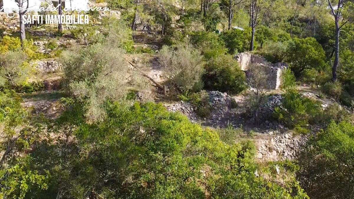 Photo 2 - Terrain à BELGENTIER