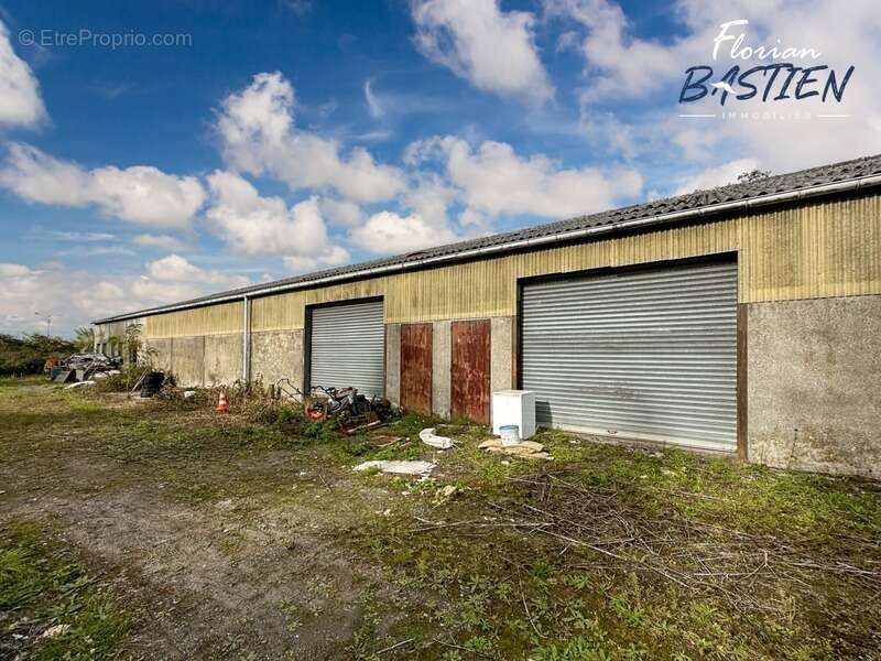 Propriété avec maison plain pied et bâtiment de 750m² sur un terrain de plus de 3 hectares - photo 10