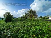 Terrain à CAPESTERRE-BELLE-EAU
