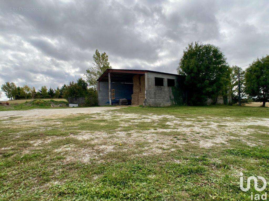 Photo 4 - Commerce à SAINT-FELIX-LAURAGAIS