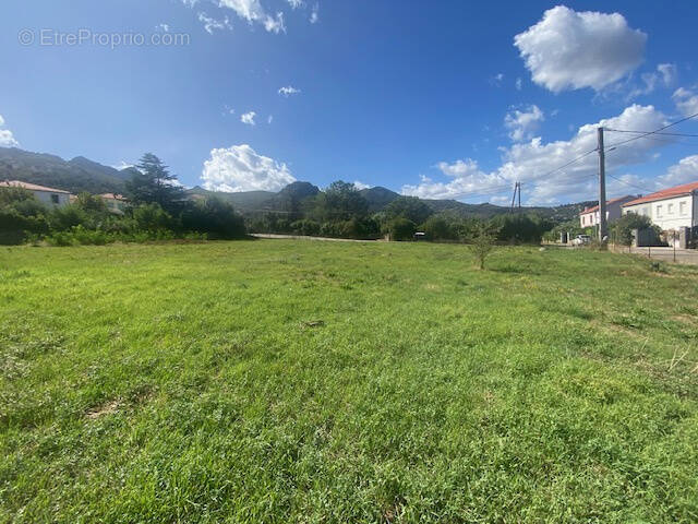 Terrain à CALENZANA