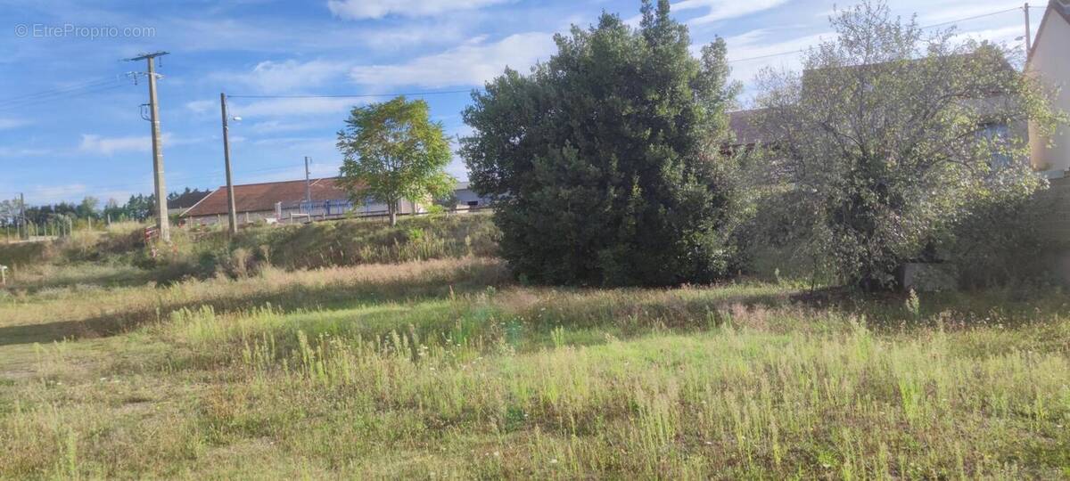 Photo 1 - Terrain à VARENNES-SUR-ALLIER