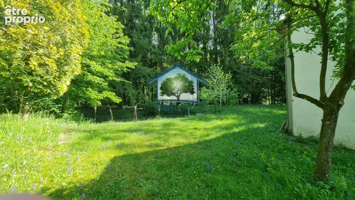 Mitschdorf - hangar + etang - photo 7