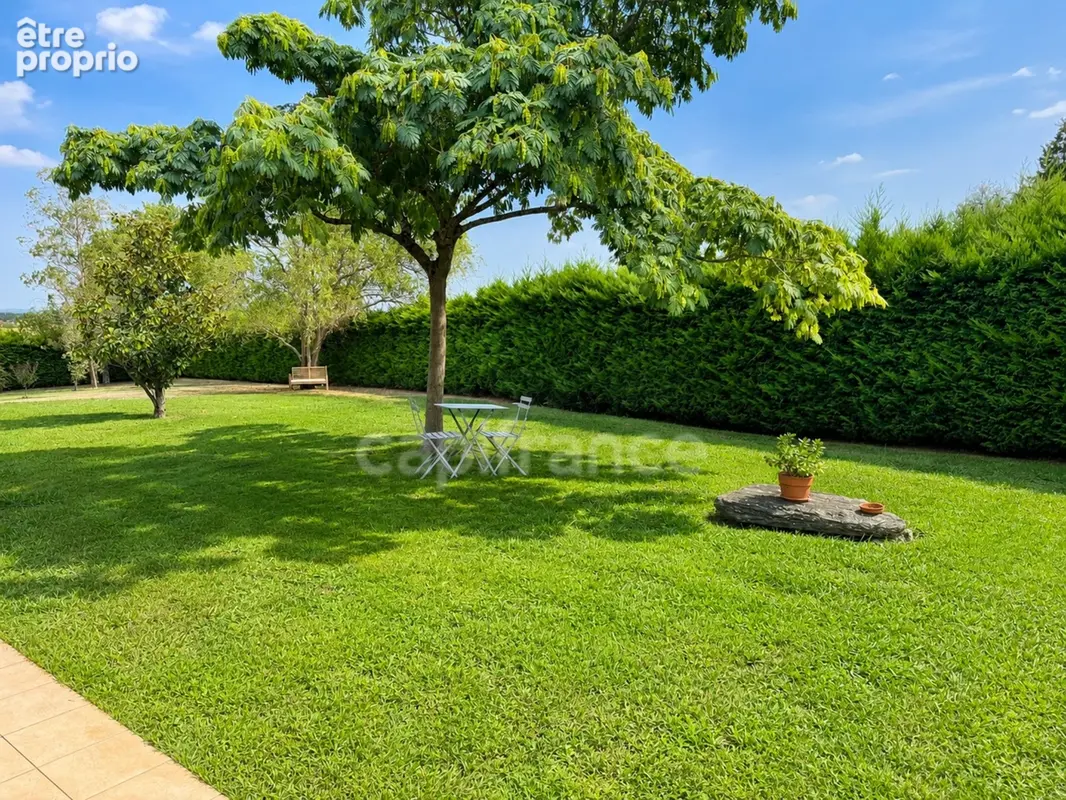 Maison de plain-pied 160 m² – 4 chambres, bureau, terrain arboré de 2 500 m² - photo 6