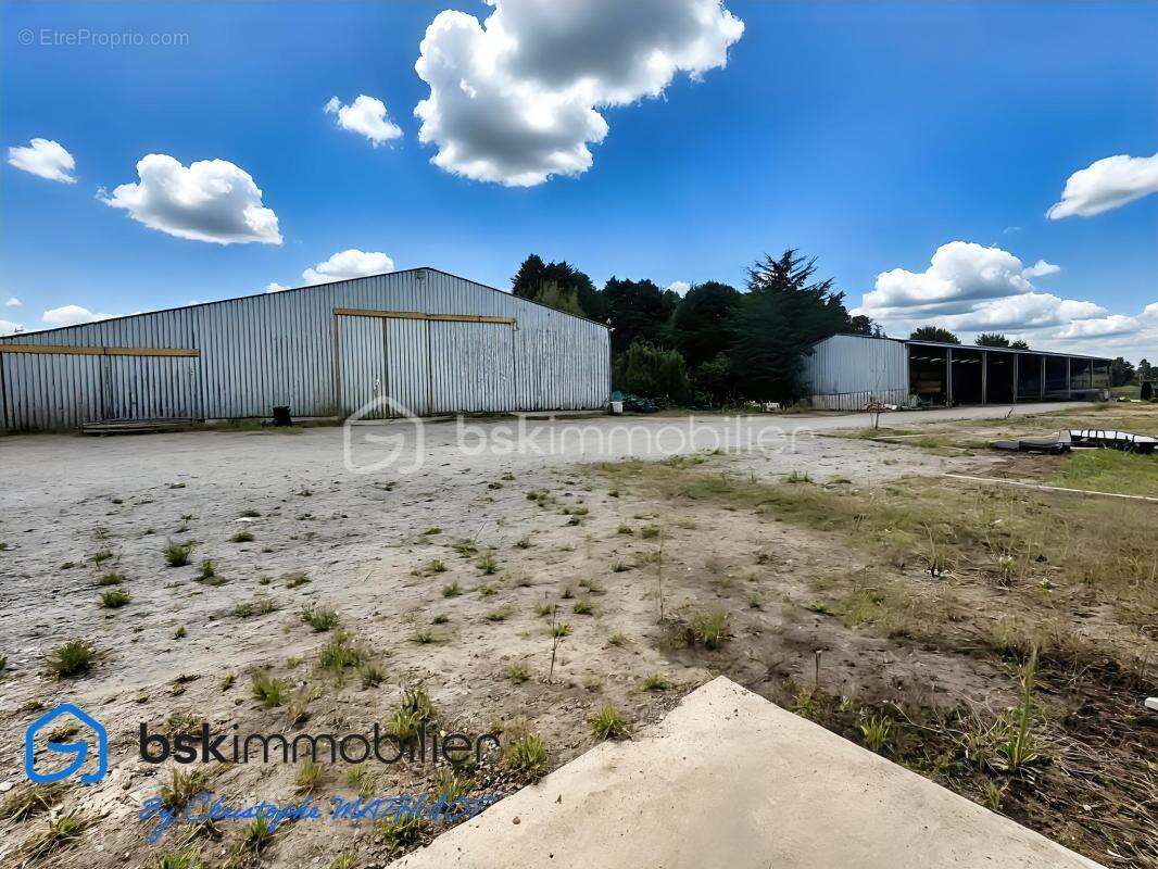Bâtiment industriel de 1 700 m² sur terrain de 6 230 m² – Nombreuses possibilités d’exploitation ! - photo 14