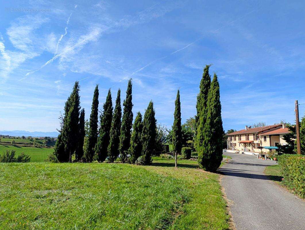 Demeure Rieux-Volvestre 20 pièces 444 m² habitables avec 27 hectares - photo 18