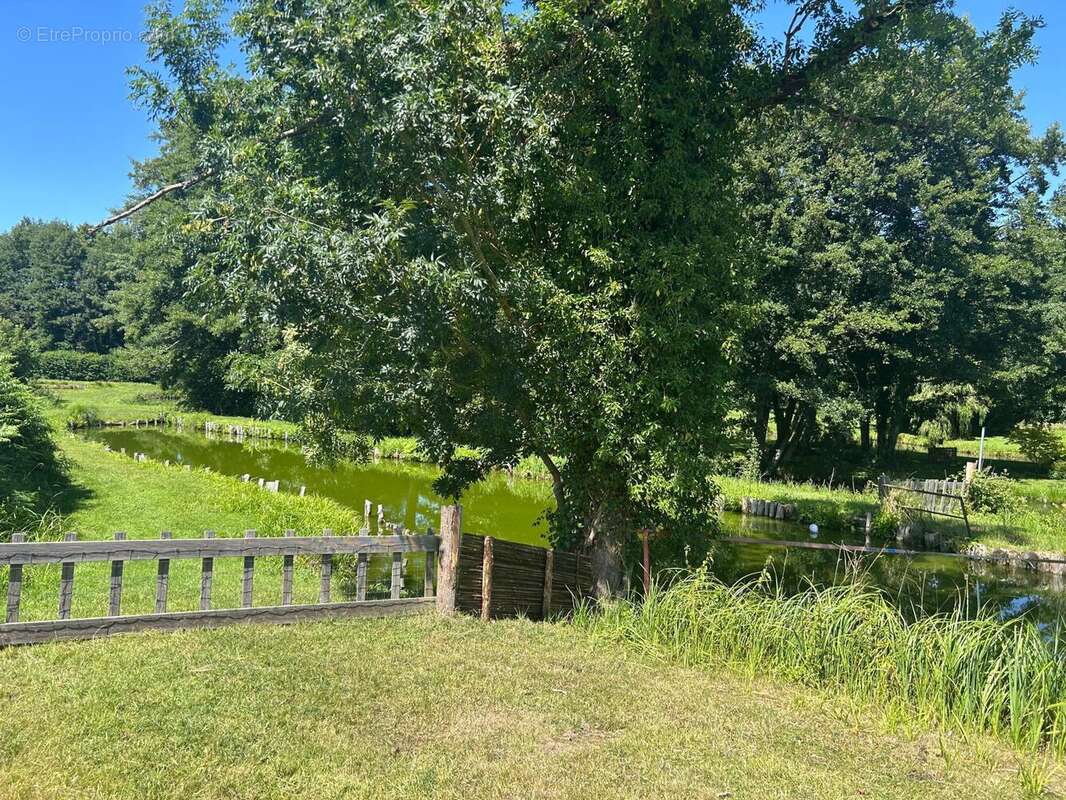 Photo 9 - Maison à LA POTERIE-AU-PERCHE