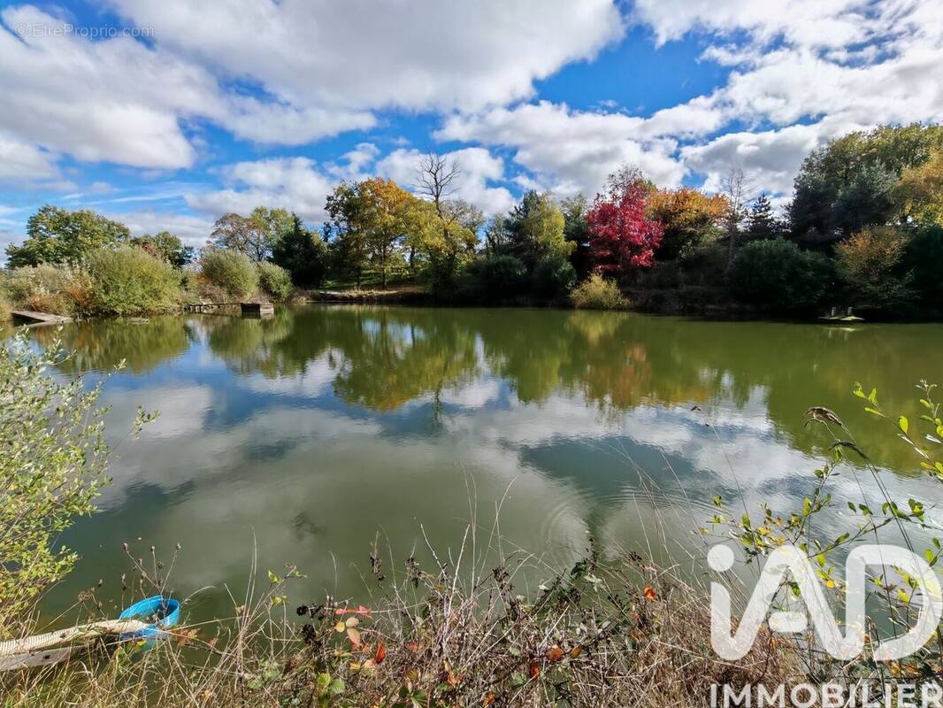 Photo 1 - Terrain à NERIS-LES-BAINS