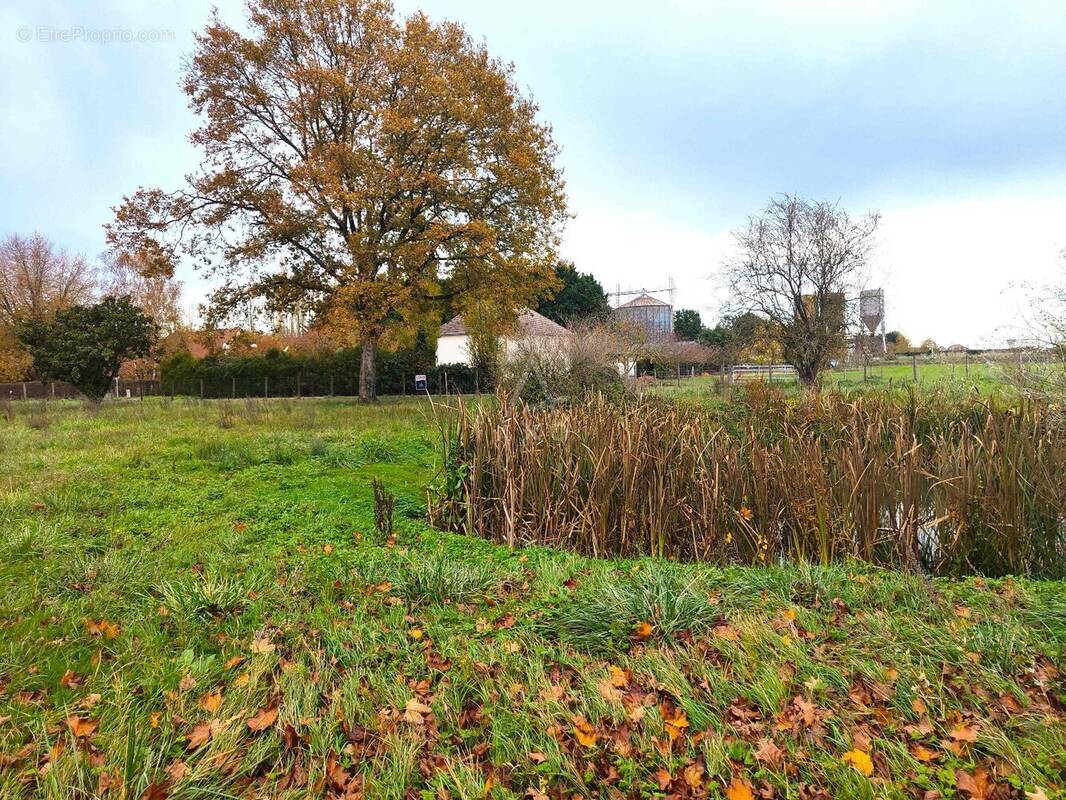 Terrain à VILLAINES-SOUS-MALICORNE