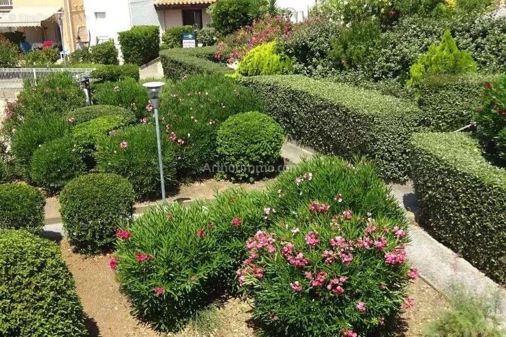 Vente Appartement (34300) 99 000ï¿œ - photo 2