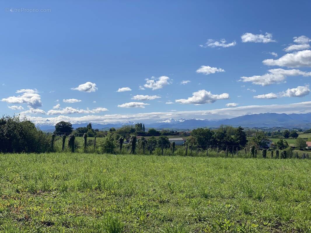 Photo 1 - Terrain à ARBOUET-SUSSAUTE