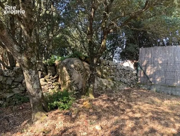 Terrain à GIUNCHETO