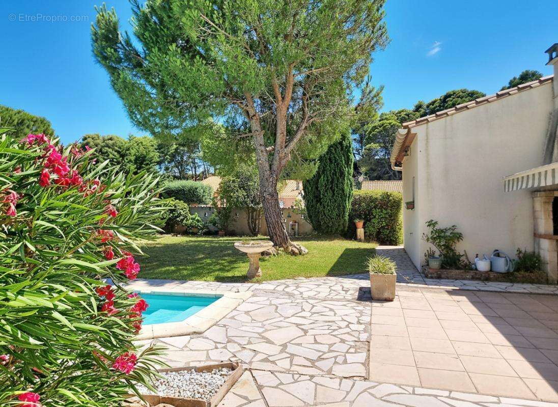 Maison 200 m² à Puicheric  - photo 5
