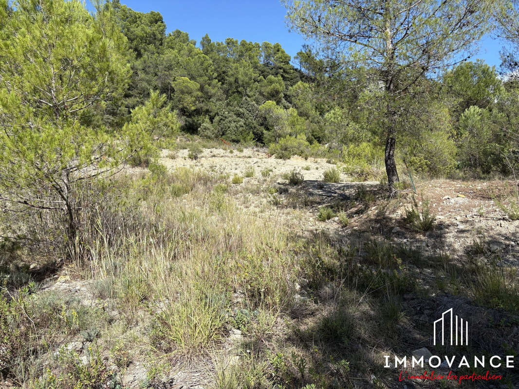 Terrain à LAURET